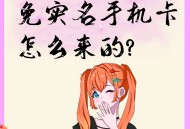 购买不实名手机卡如此便捷,无需身份证办理电话卡案例