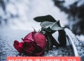 黑科技vx查询手机号码平台,微信号查对方身份证信息