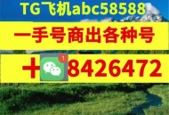 实名支付宝出售与批发平台||实名支付宝账号出售优惠批发小号平台