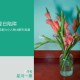 前男友找我复合，我却发现他已婚
