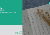 夫君娶平妻那天，我防火烧了家