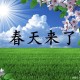 抗疫之春清明有寄