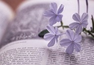 怎样才能获得他人的尊重