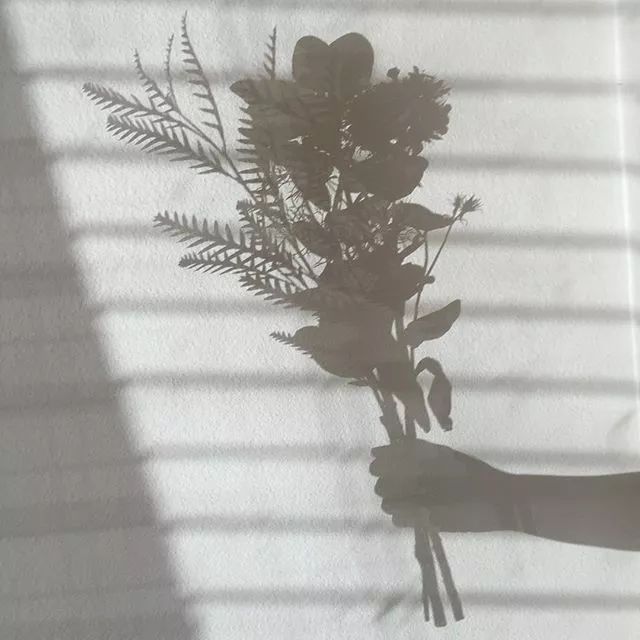 在巴赫的怀抱中安眠