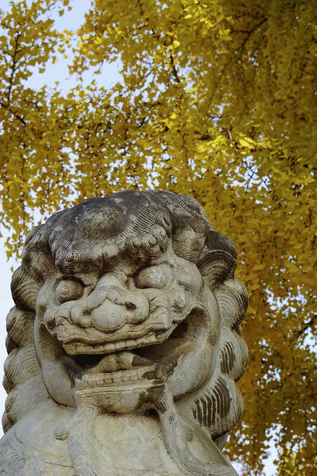 秋天来了,又想好好生活了