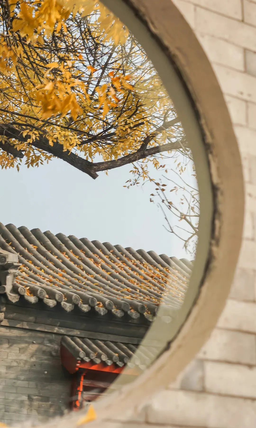秋天来了,又想好好生活了